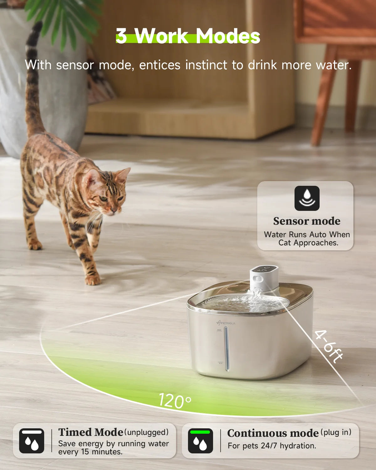 Wireless Water Fountain For Cats & Dogs with Auto Sensor