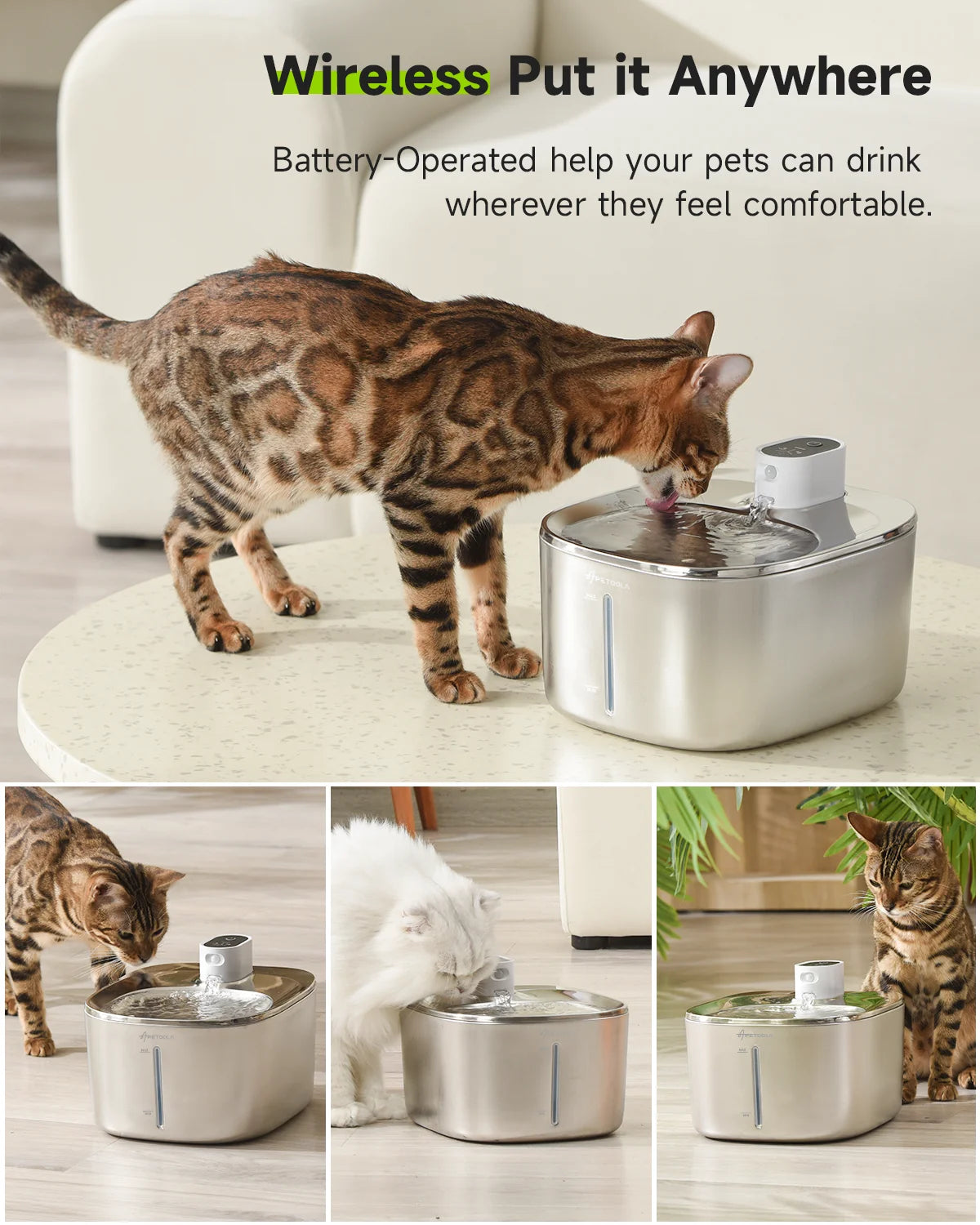 Wireless Water Fountain For Cats & Dogs with Auto Sensor